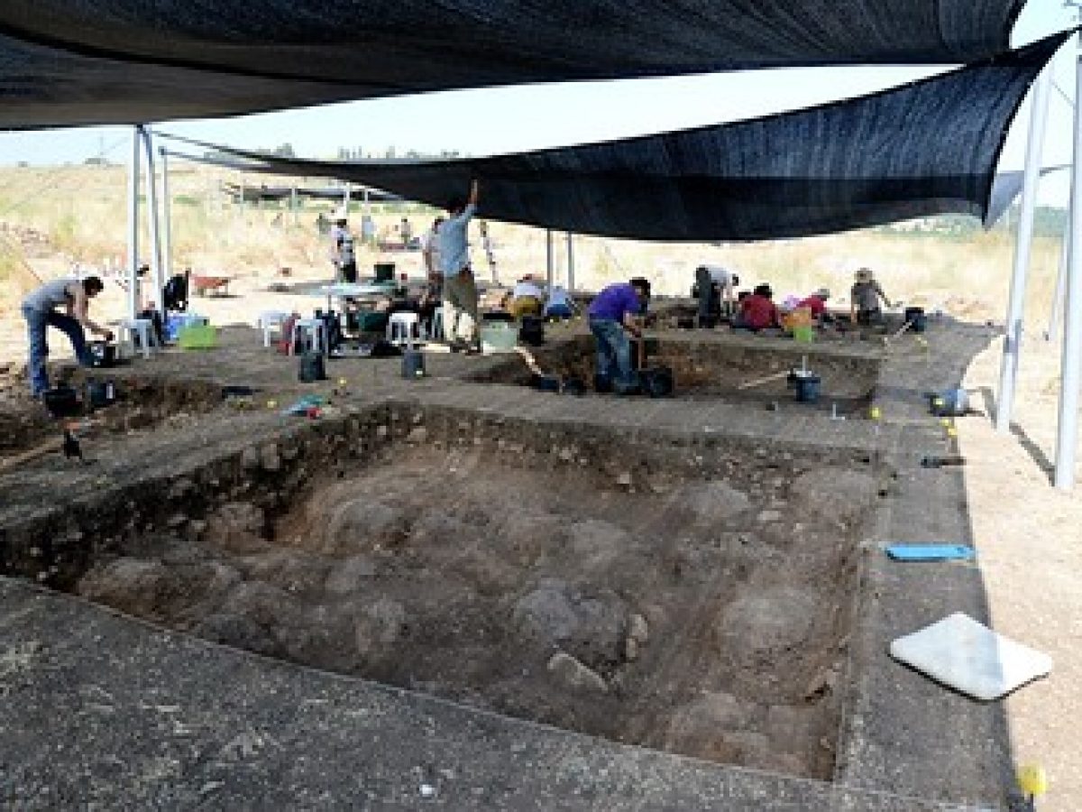 Archeological Digs 